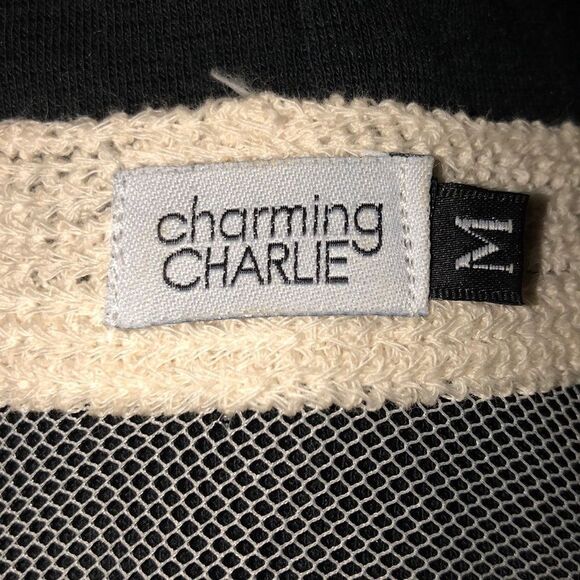 Charming Charlie Striped Dress Lace Panel … - Picture 7 of 10